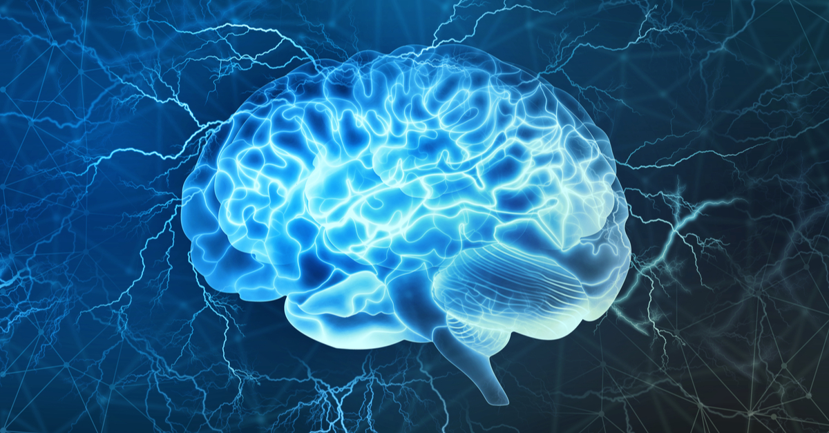 Pornography and the Brain